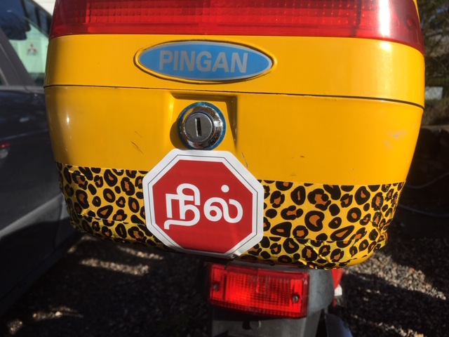 D81BEDD2-3E17-46C0-9AEF-2CFDDC68276C.jpeg